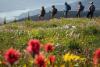 Shuswap residents invited to provide input on parks, trails, rec services