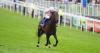 Christmas Day delivers jockey Ronan Whelan the ultimate Derby present