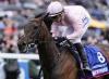 ‘A Catalogue of Exceptional Quality and Remarkable Depth’ – Tattersalls Unveil Book 1 Offering