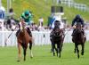 Black-Type Analysis: Will The Ground Scupper Benvenuto Cellini’s Chances?