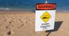 One non-aggressive Tiger shark at Ke Iki Beach prompts warning signs