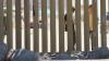 Thrown out by the Trump administration, U.S. immigrants remain locked up in African kingdom