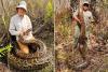 Snake Catchers Remove a Record-Breaking 8,000 Pounds of Invasive Pythons from Southwest Florida in One Season