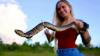 Guns? Weapons hunters can use in Florida's python challenge