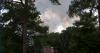 Volusia County wildfire: 600-acre blaze burning in Lake Woodruff National Wildlife Refuge, officials report