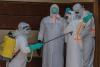 Congo reports large daily jump in Ebola cases a month after outbreak was declared