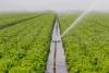 International Donors Commit $172 Million to Upgrade Kyrgyzstan’s Irrigation System