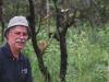 New report reveals the state of global plant and fungal biodiversity