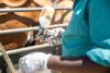 Foot and mouth disease in SA: how a tracking system would control outbreaks