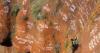 ‘Spider-Man of Yemen’ dies after falling during climb on volcanic crater