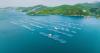 Blue food, big challenges: Inside the problems aquaculture can no longer afford to ignore