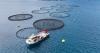 New Zealand to ease environmental consent requirements to boost offshore aquaculture