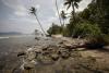 People on These Pacific Islands Have the Most Ancient Genome of All Humans (and a Lot of Denisovan Genes)