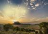 Spain’s ‘taste of sunshine’ grape proves its value