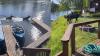 Pair Of Moose Make Walking Through Lake In Alaska Look Easy