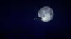 Japan Airlines Pilot Claimed He Saw UFO Bigger Than an Aircraft Carrier During 45-Minute Alaska Encounter