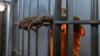How a Single Underscore Wrongfully Sent a Canadian Man to Jail in S*x Crimes Case