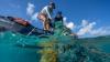 Hawaiʻi Sea Grant’s Voice of the Sea TV series wins record 10 Telly Awards