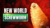 Idaho imposes new animal entry requirements after New World screwworm detection