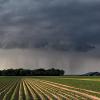 Harvest progress at a standstill in Nebraska