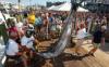 The 53rd Annual White Marlin Open Returns August 3-8, 2026 with New Formats, Expanded Divisions, and Six Days of Action in Ocean City, Maryland