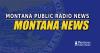 Montana cat owners wanted for citizen science project exploring feline genetics