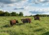State Agriculture Department and Cornell Integrated Pest Manageme...
