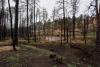 Lincoln County, New Mexico, wants to turn flood-prone properties into public land