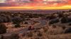 UK travellers warned after plague death in USA leads to alert
