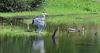 Visit a Rhode Island bird sanctuary that spans over 300 acres