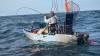 Shark surge off Rhode Island gives kayak anglers the ride of a lifetime