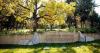 SOU's Vitality Plan finalized, a plan for long-term sustainability