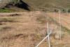Drought delivers ‘worst case scenario’ for fire scar recovery in Wyoming’s Bighorn Basin