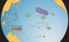 Executive proclamation restores commercial fishing in Pacific Marine Monuments