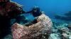 Trump restores commercial fishing to 500,000 square miles of Pacific
