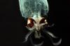 Experts say ‘bare bones’ US laws are unfit to regulate nascent deep-sea mining industry