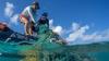 Record 10 Telly Awards claimed by Hawaiʻi Sea Grant’s ‘Voice of the Sea’ television series