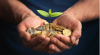 Azerbaijan strengthens sustainable finance framework as banks expand green investments