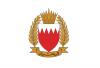 Bahrain's air defence intercepted a number of Iranian strikes, says BDF