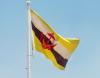 Brunei tenders solar at five government buildings