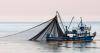 Trump opens Pacific monument waters to commercial fishing