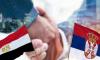 MoH: Egypt Seeks Stronger Healthcare Cooperation with Serbia