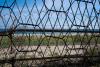 On the DMZ Peace Trail, South Koreans hike the front lines of a frozen war