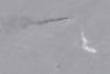 Indian sailor dies aboard tanker that was diverted to Oman by US military