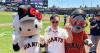 EVA Air promotes Taipei-Washington route at MLB Giants' Hello Kitty Day