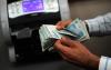 Turkish think tank urges interest rate pause amid fund crisis