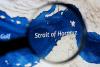 Shipping risks remain high in Red Sea and Strait of Hormuz 