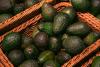 Agronometrics in Charts: Growing global avocado supply brings greater uncertainty as market enters a new phase