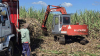 Nadi cane farmers expected more
