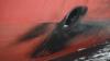 Indian Navy safely recovers unexploded missile warhead from oil tanker bound for Kochi